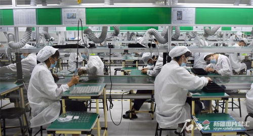 沿著高速看新疆 小手機(jī)走向大市場的技術(shù)開發(fā)之路