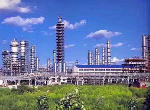 創新驅動發展，我市企業以技術開發放大智造力量