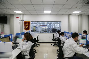 聚焦蔡甸中德產業園 探訪先進制造業集聚區與技術開發新亮點